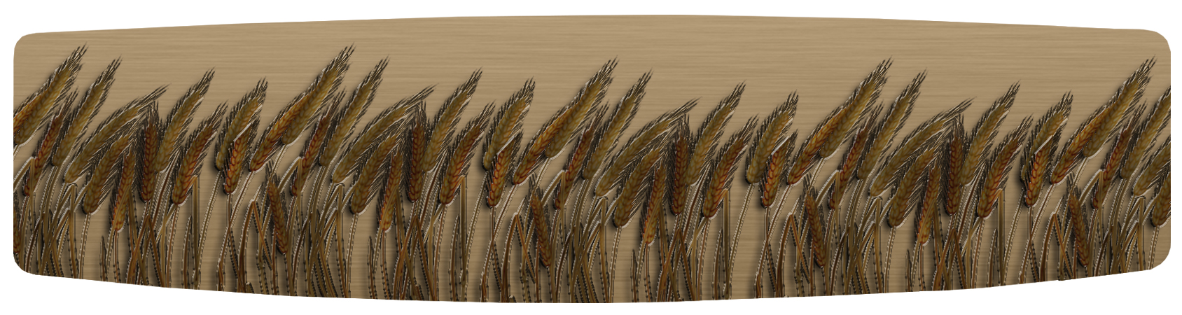 117 Blowing Wheat PROOF1